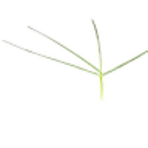 Meet your Posher, Gary